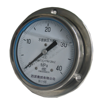 不锈钢外壳轴向压力表